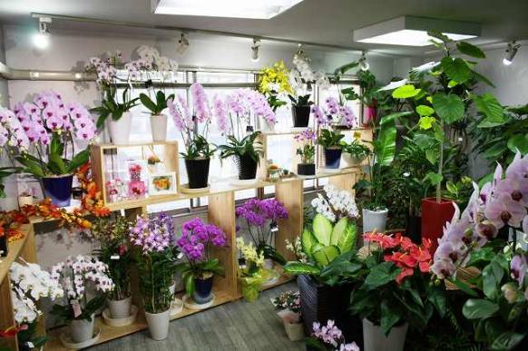 長崎県長崎市の花屋 フラワーサロン花昌にフラワーギフトはお任せください 当店は 安心と信頼の花キューピット加盟店です 花キューピットタウン