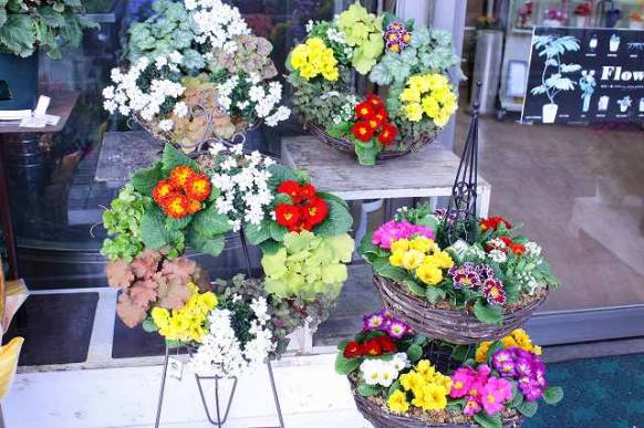 長崎県長崎市の花屋 フラワーサロン花昌にフラワーギフトはお任せください 当店は 安心と信頼の花キューピット加盟店です 花キューピットタウン